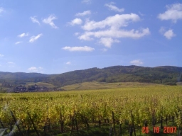 Schwarzwald