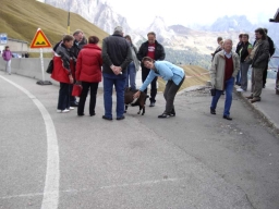 Suedtirol