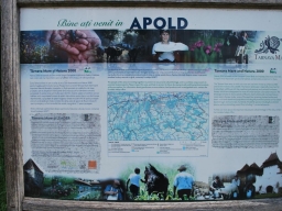 Trappold_2013