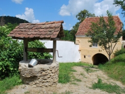 Trappold_2013