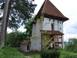 Trappold_2013