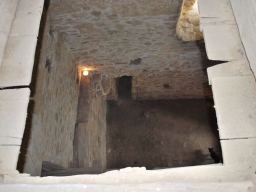 Trappold_2013