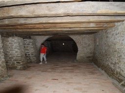 Trappold_2013