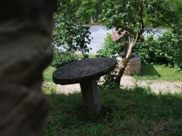 Trappold_2013