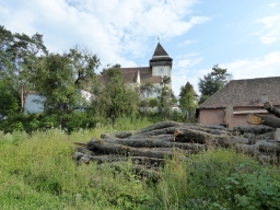 Sommer_2014