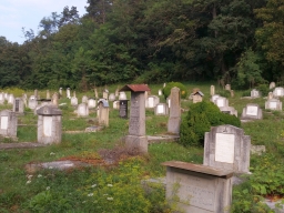 Trappold_2018