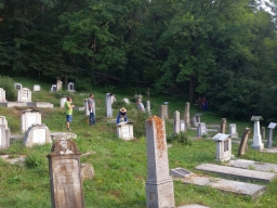 Trappold_2018