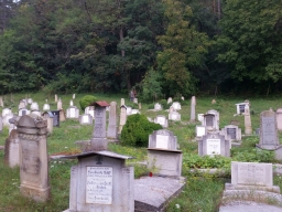 Trappold_2018