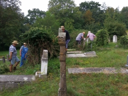 Trappold_2018