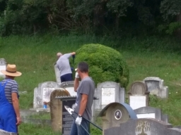 Trappold_2018