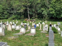 Trappold_2018