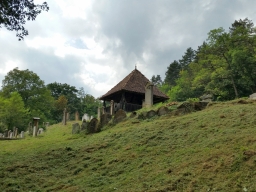 Trappold_2018