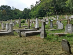 Trappold_2018