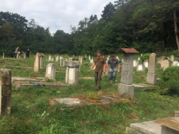 Trappold_2018