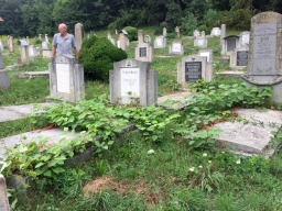 Trappold_2018