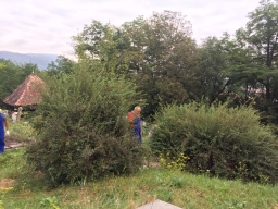Trappold_2018