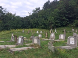 Trappold_2018