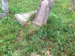 Trappold_2018